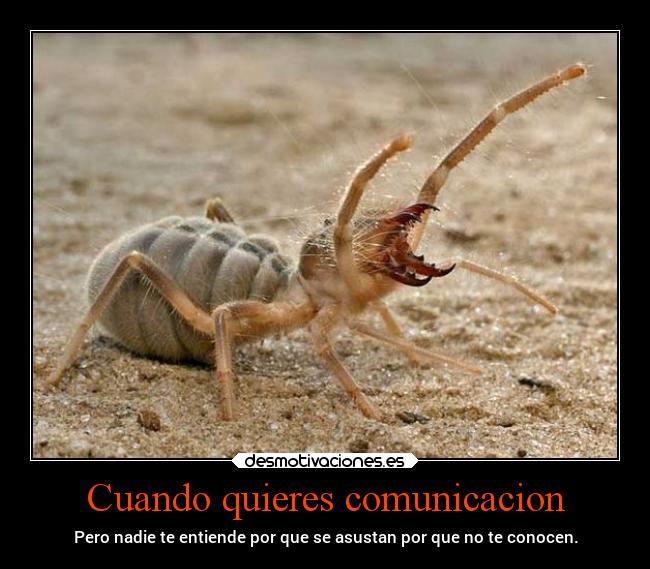 carteles animales comunicacion desmotivaciones