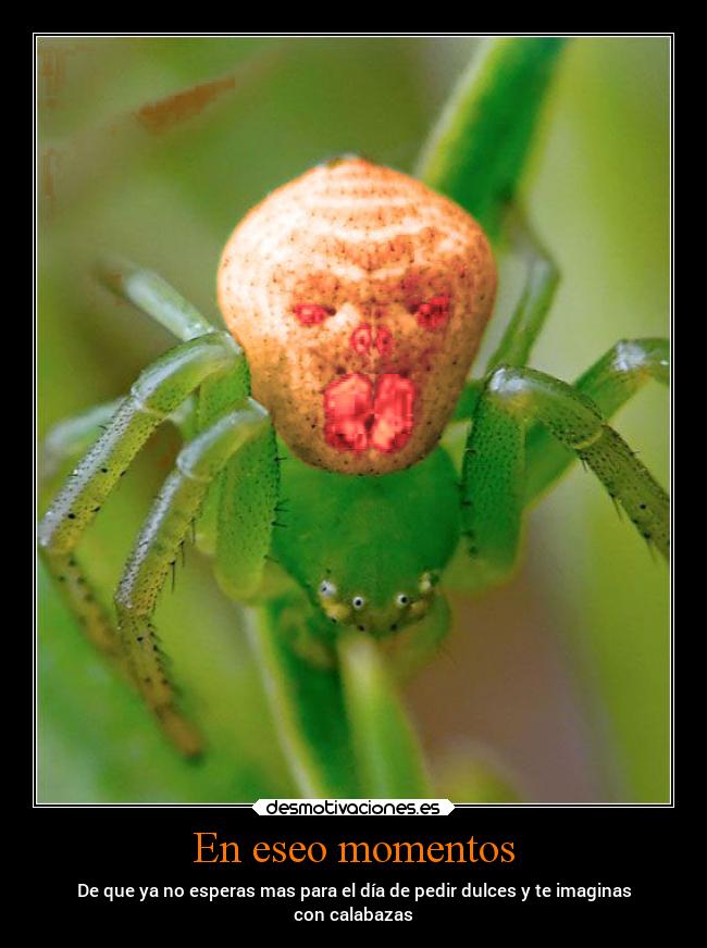 En eseo momentos - De que ya no esperas mas para el día de pedir dulces y te imaginas
con calabazas
