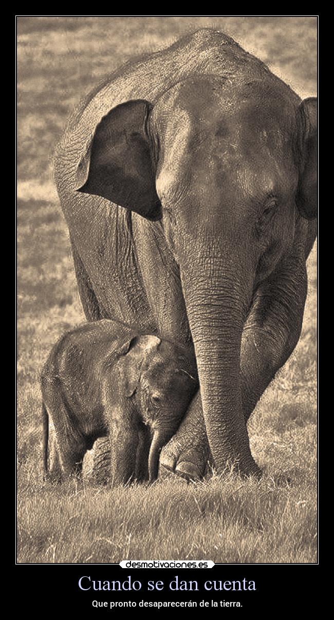 Cuando se dan cuenta - Que pronto desaparecerán de la tierra.