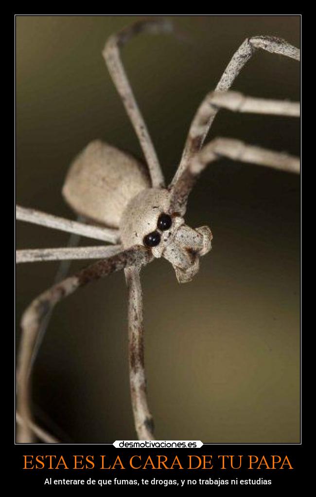 ESTA ES LA CARA DE TU PAPA - Al enterare de que fumas, te drogas, y no trabajas ni estudias