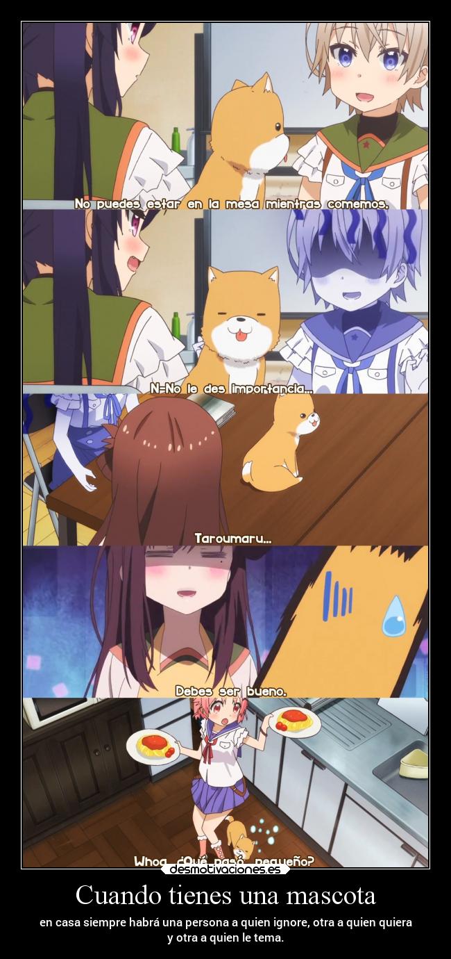 Cuando tienes una mascota - en casa siempre habrá una persona a quien ignore, otra a quien quiera
y otra a quien le tema.