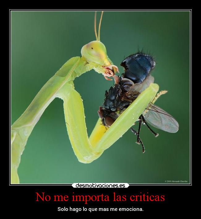 No me importa las criticas - Solo hago lo que mas me emociona.