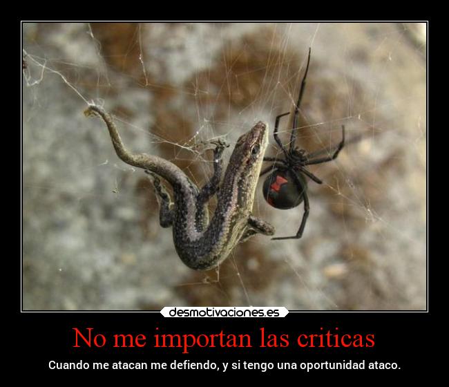 No me importan las criticas - Cuando me atacan me defiendo, y si tengo una oportunidad ataco.