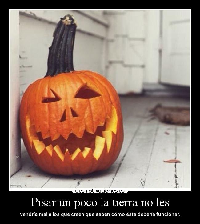 carteles desmotivaciones vida clandesplazado soyunidiotatm projectd manada32 desmohalloween2018 desmotivaciones