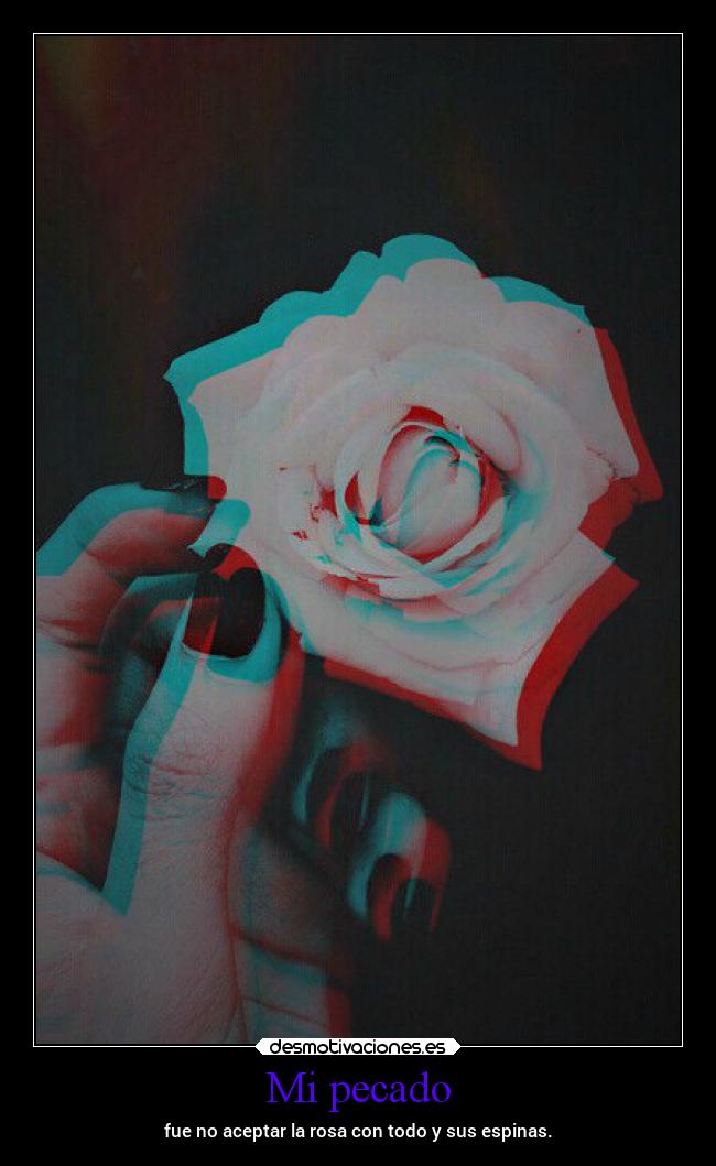 Mi pecado - fue no aceptar la rosa con todo y sus espinas.