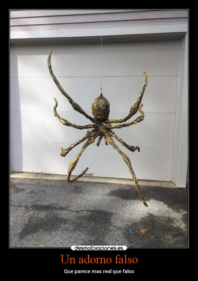 Un adorno falso - Que parece mas real que falso
