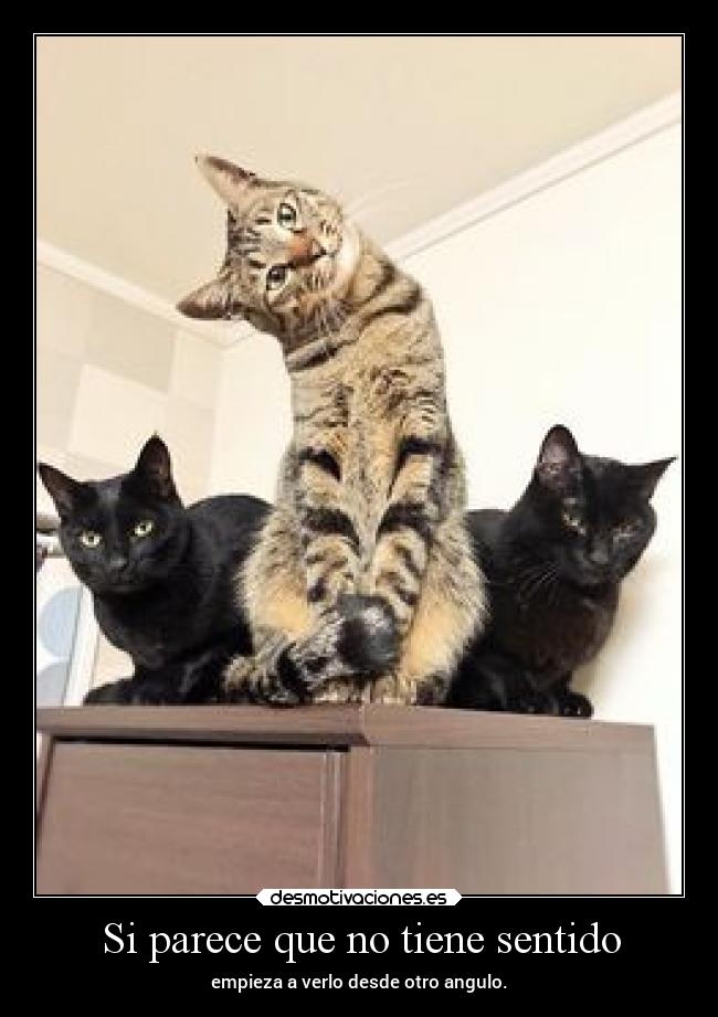 Si parece que no tiene sentido -