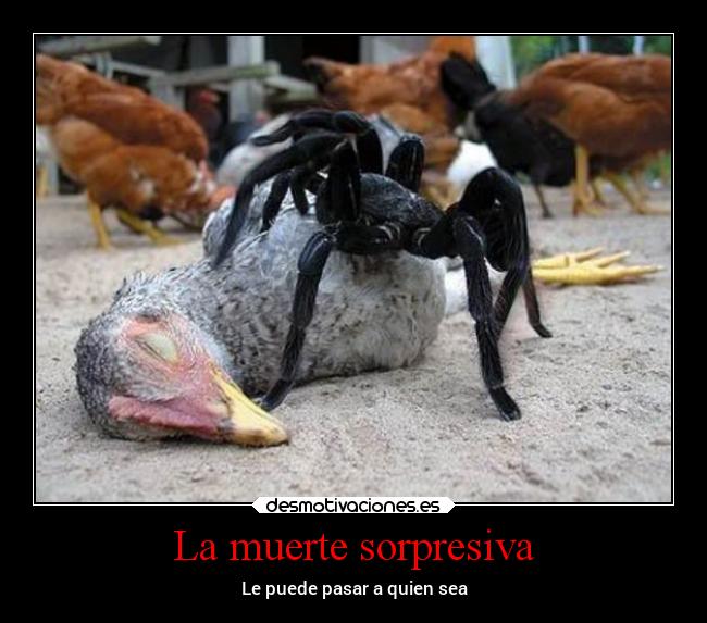 La muerte sorpresiva - Le puede pasar a quien sea