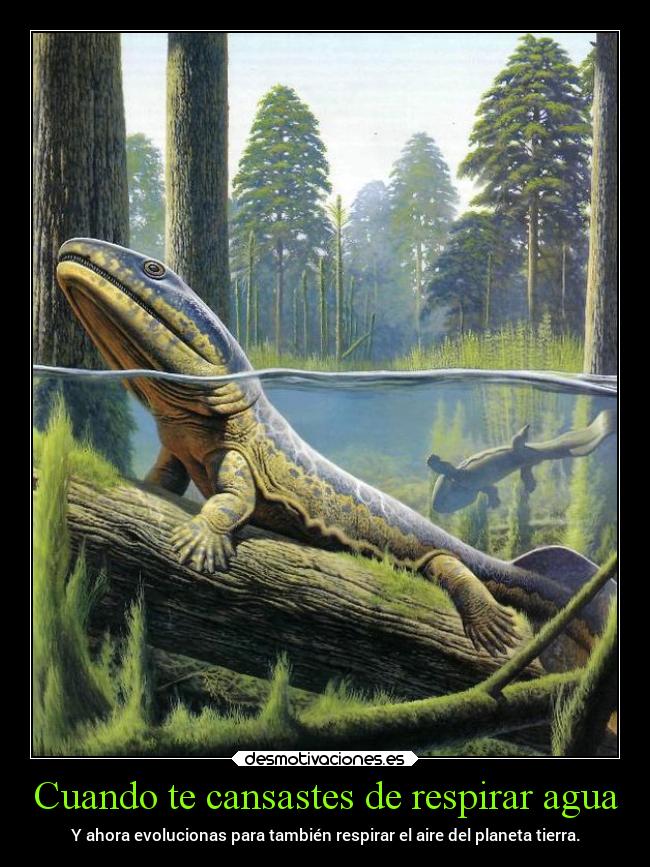 Cuando te cansastes de respirar agua - Y ahora evolucionas para también respirar el aire del planeta tierra.