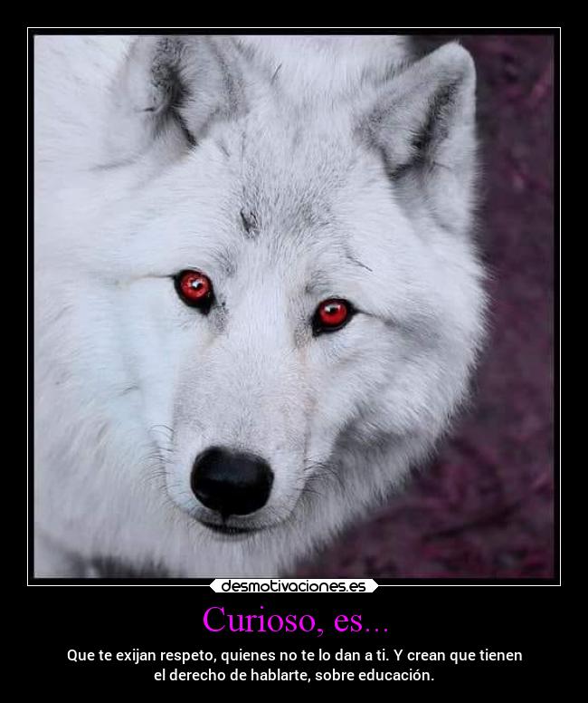 carteles pensamientos desmotivaciones