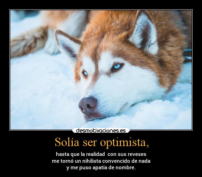 carteles vida alegria arte godricvampire666 unicorniosrosasyazules desmotivaciones