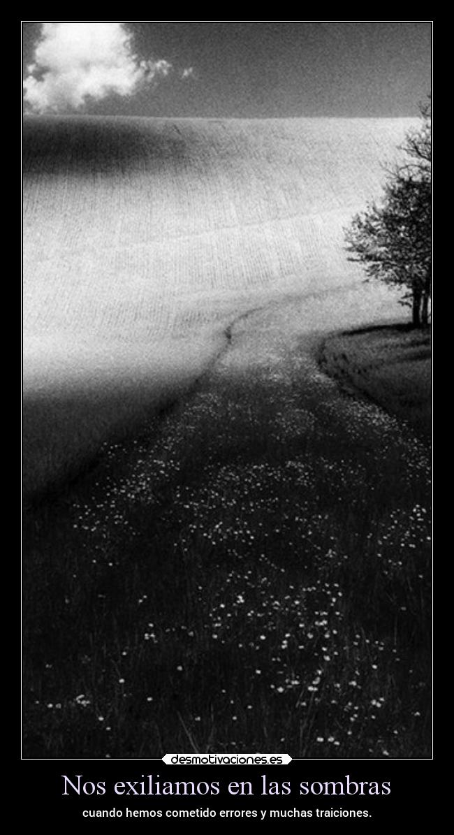Nos exiliamos en las sombras -