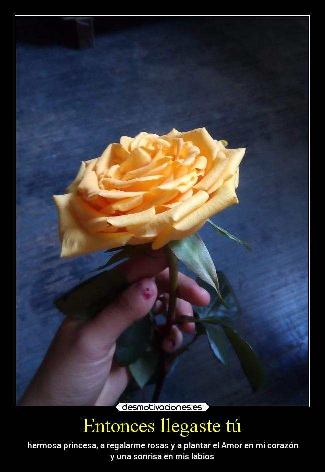 Entonces llegaste tú - hermosa princesa, a regalarme rosas y a plantar el Amor en mi corazón
y una sonrisa en mis labios