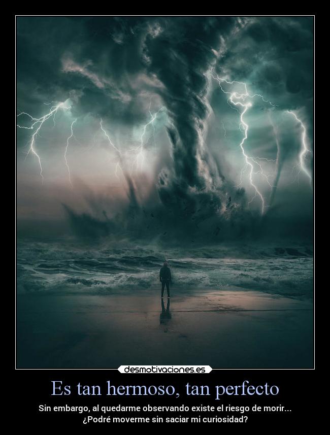 Es tan hermoso, tan perfecto -