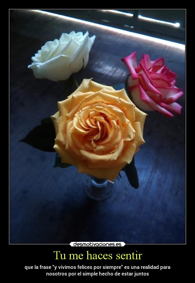 Tu me haces sentir - que la frase y vivimos felices por siempre es una realidad para
nosotros por el simple hecho de estar juntos