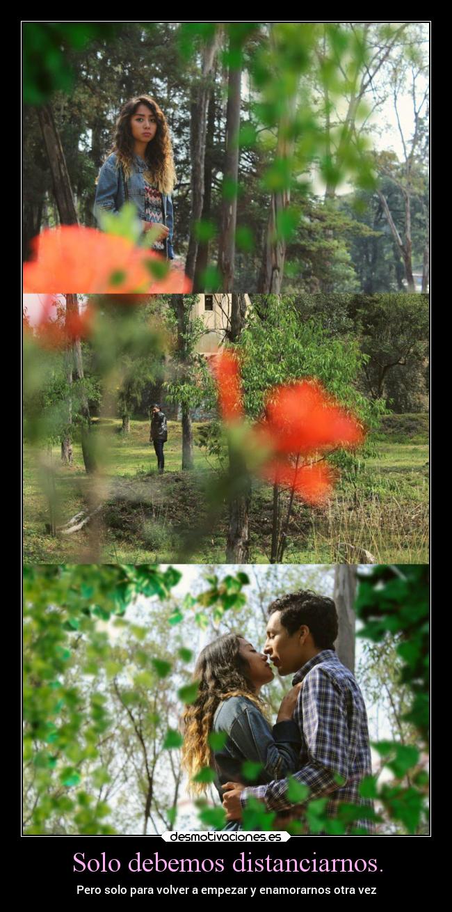 Solo debemos distanciarnos. - Pero solo para volver a empezar y enamorarnos otra vez