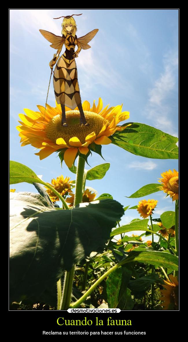 Cuando la fauna - Reclama su territorio para hacer sus funciones