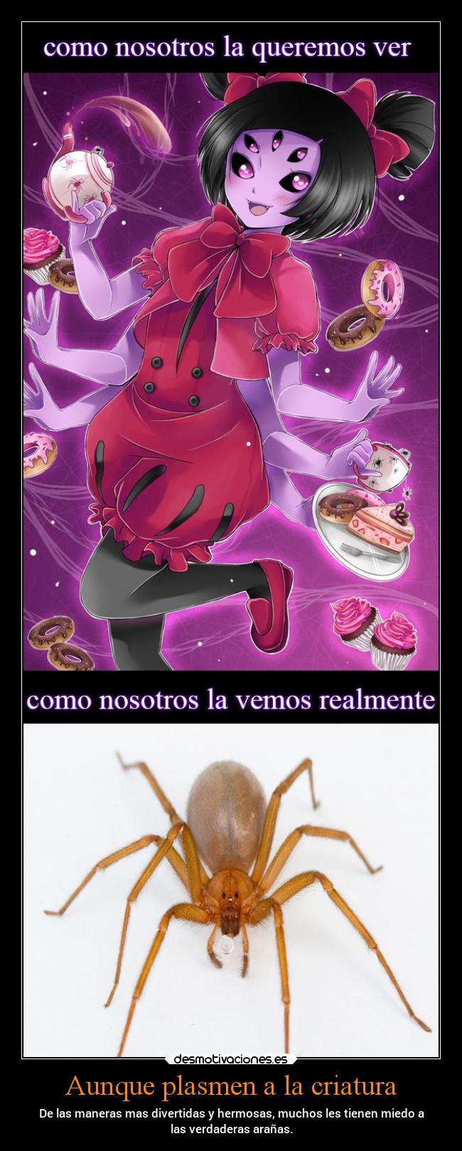 Aunque plasmen a la criatura - De las maneras mas divertidas y hermosas, muchos les tienen miedo a
las verdaderas arañas.