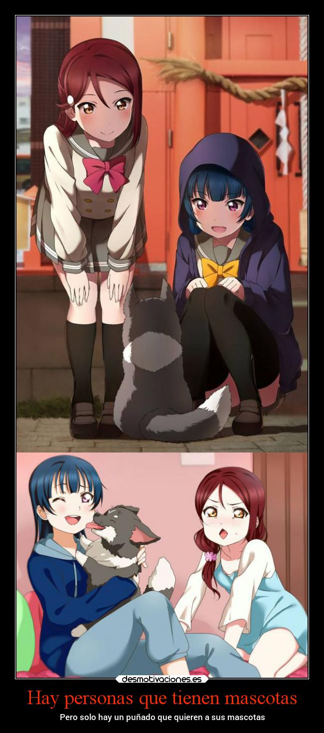 Hay personas que tienen mascotas - Pero solo hay un puñado que quieren a sus mascotas