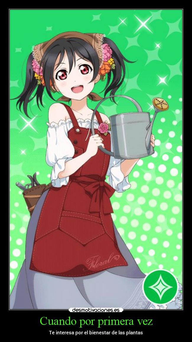 Cuando por primera vez - Te interesa por el bienestar de las plantas
