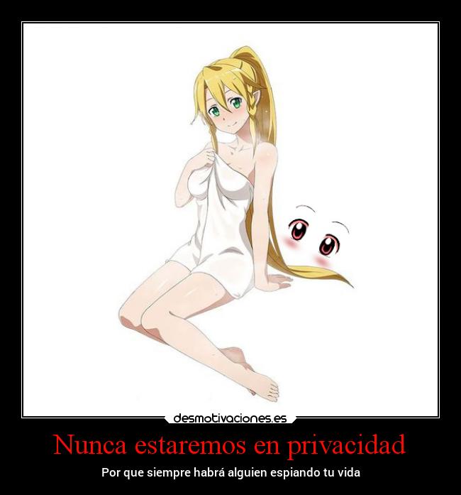 Nunca estaremos en privacidad - Por que siempre habrá alguien espiando tu vida