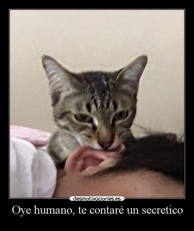 Oye humano, te contaré un secretico -