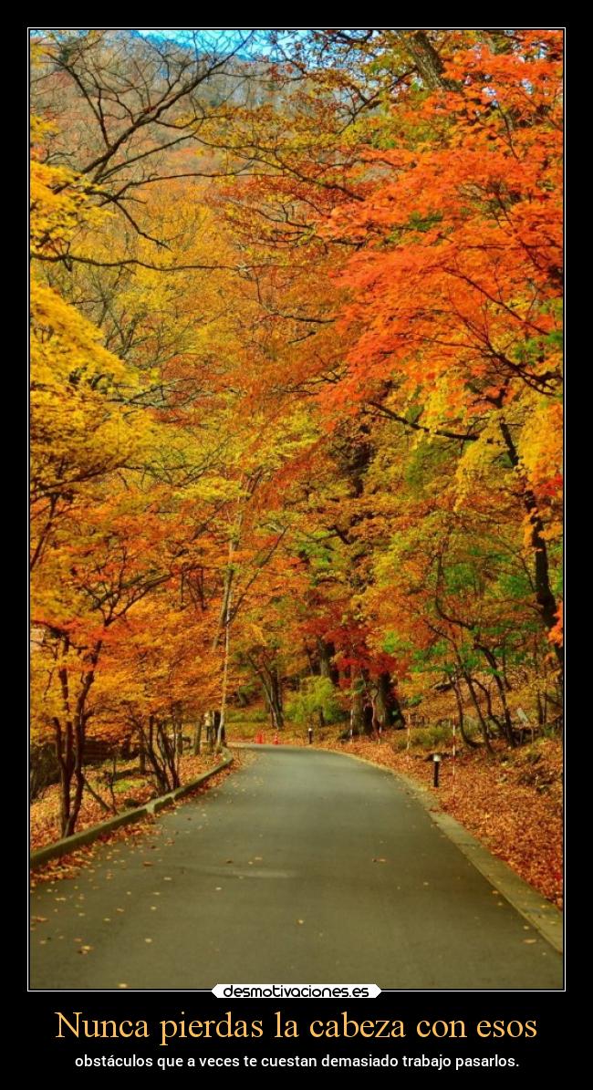 Nunca pierdas la cabeza con esos -