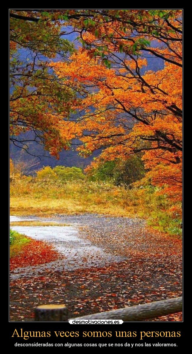 Algunas veces somos unas personas -