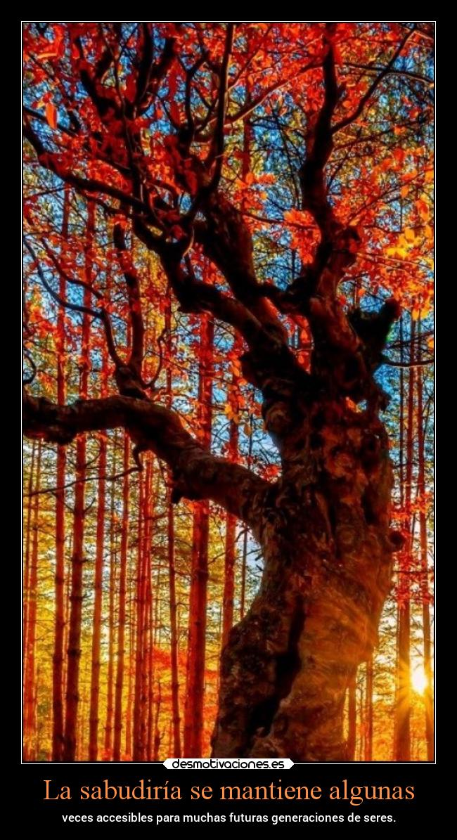 La sabudiría se mantiene algunas -