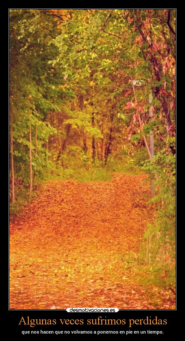 Algunas veces sufrimos perdidas -