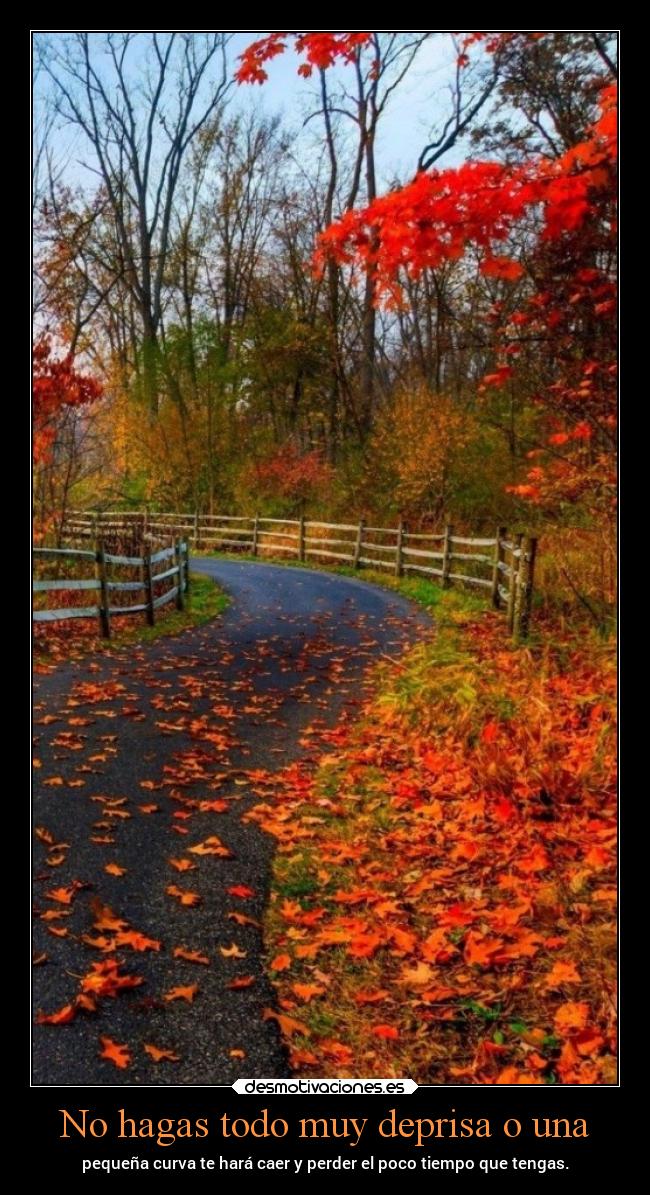 carteles desmotivaciones chopper igbt otono fall desmotivaciones