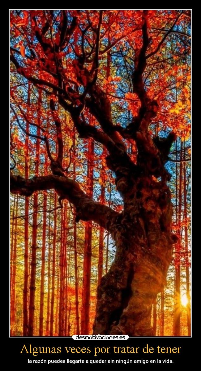 carteles desmotivaciones chopper igbt otono fall desmotivaciones