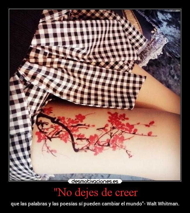 No dejes de creer -