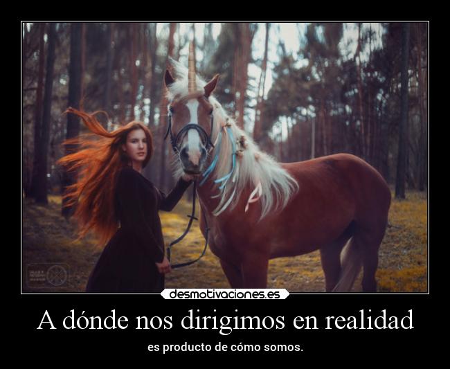 carteles desmotivaciones vida clandesplazado soyunidiotatm projectd manada32 desmotivaciones