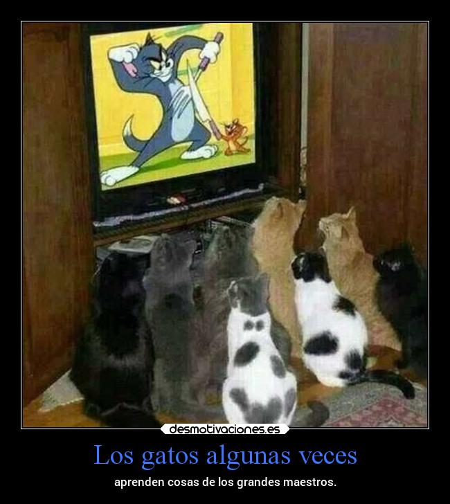 Los gatos algunas veces - 