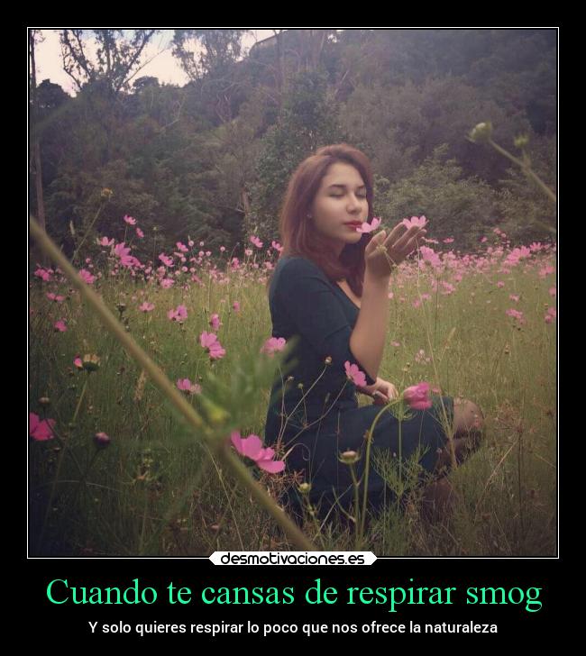 Cuando te cansas de respirar smog - Y solo quieres respirar lo poco que nos ofrece la naturaleza