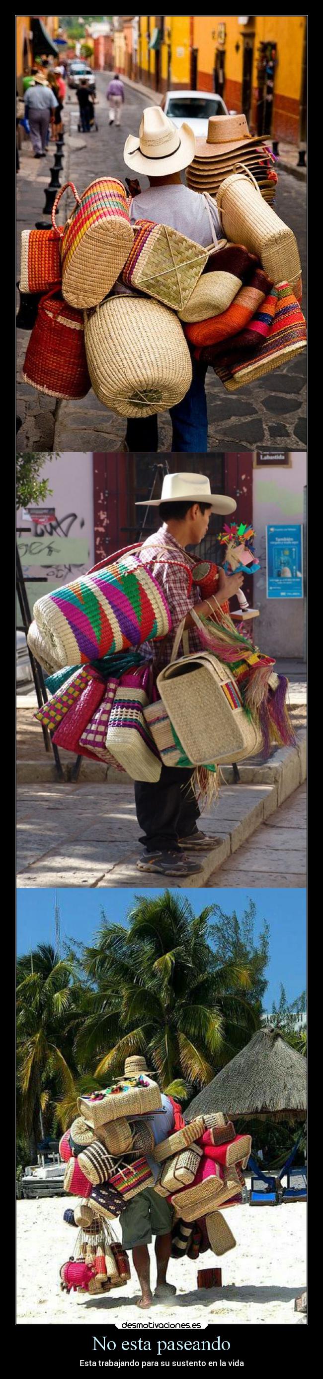No esta paseando - Esta trabajando para su sustento en la vida