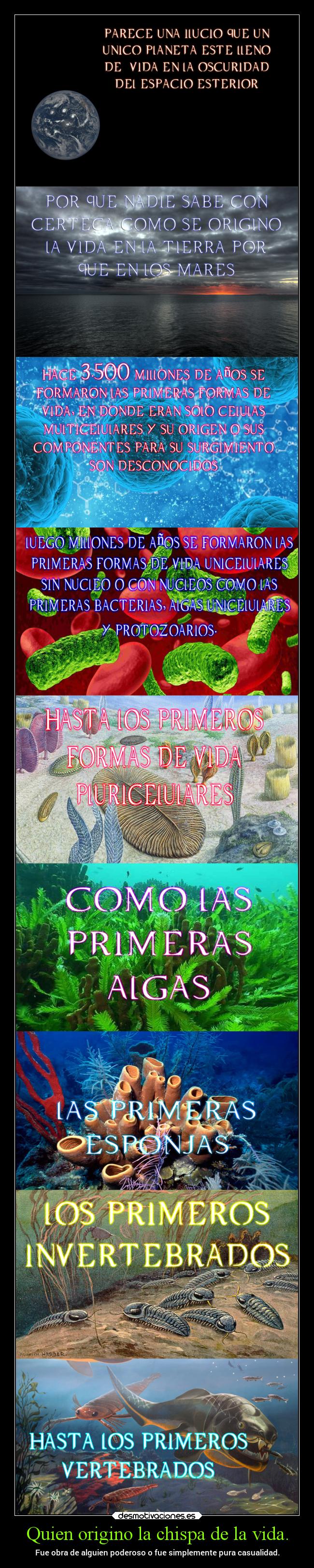 Quien origino la chispa de la vida. - Fue obra de alguien poderoso o fue simplemente pura casualidad.