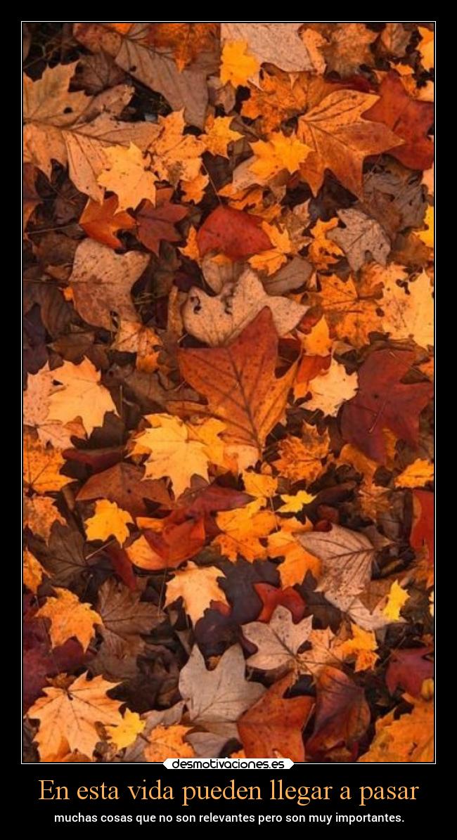 carteles vida desmotivaciones chopper igbt otono fall desmotivaciones