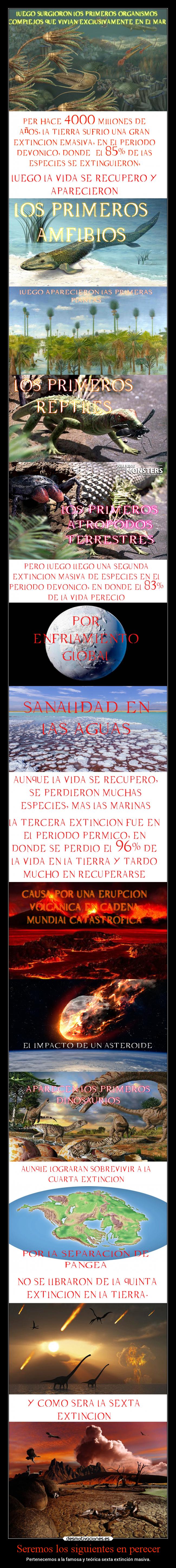 Seremos los siguientes en perecer - Pertenecemos a la famosa y teórica sexta extinción masiva.