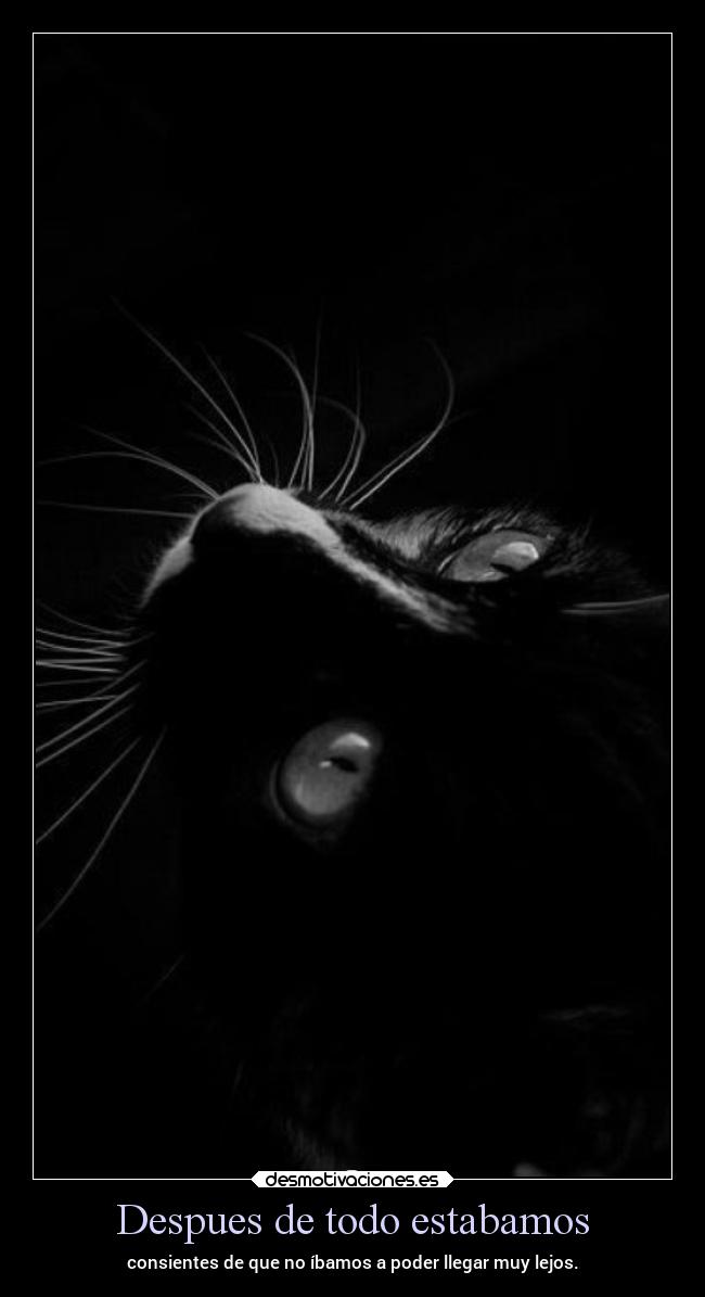 carteles vida frases ltsc alex vazquez999 desmotivaciones