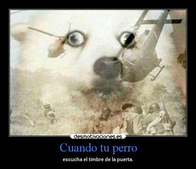 Cuando tu perro - 