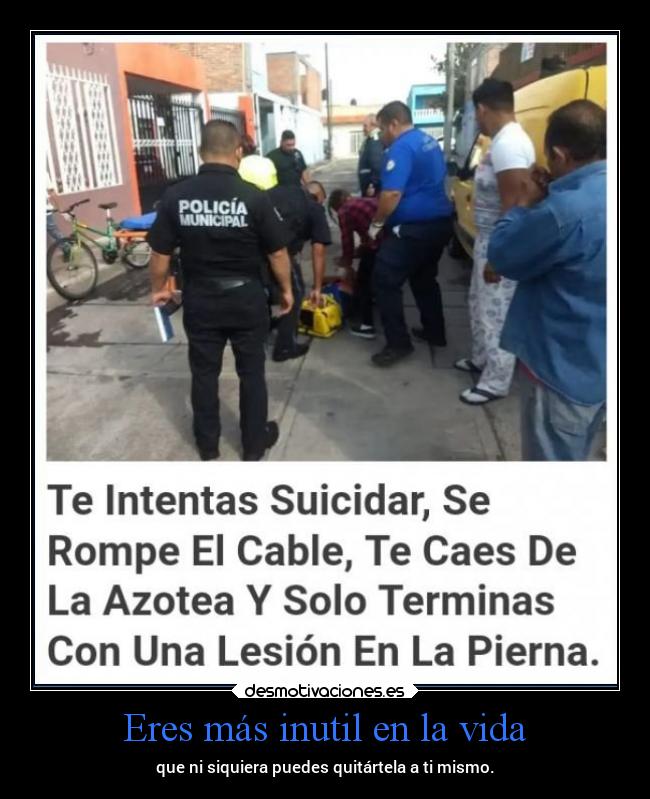 carteles vida vida nooppainolifeunofficial desmotivaciones