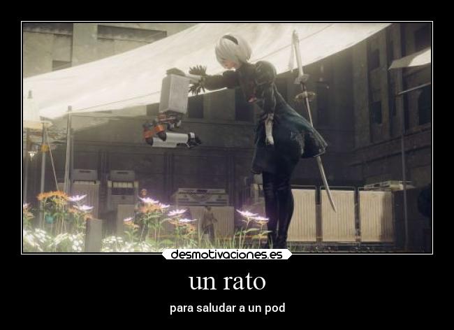 un rato - para saludar a un pod