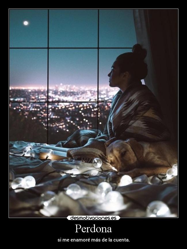 Perdona - si me enamoré más de la cuenta.