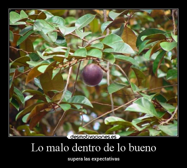 Lo malo dentro de lo bueno - supera las expectativas