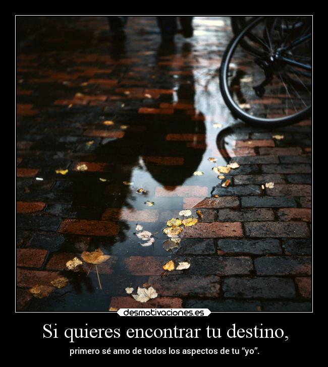 carteles destino desmotivaciones vida clandesplazado soyunidiotatm projectd manada32 desmotivaciones