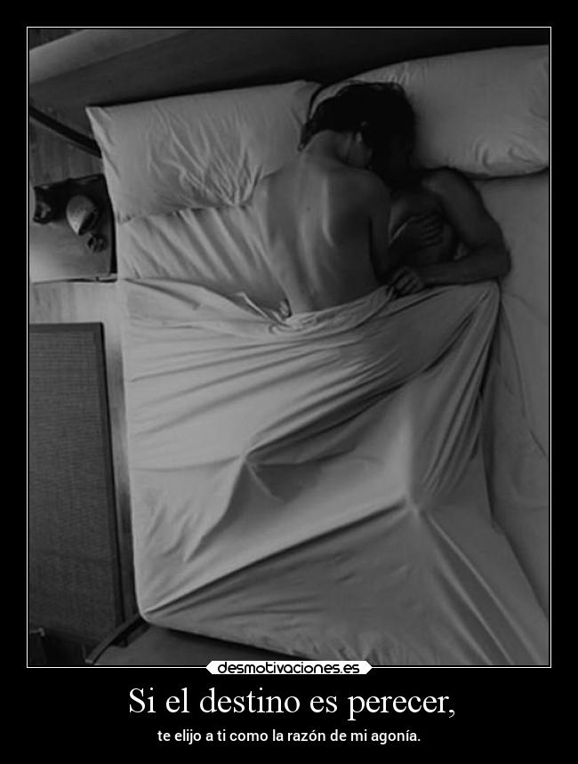 Si el destino es perecer, -