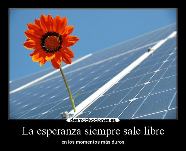 La esperanza siempre sale libre - en los momentos más duros