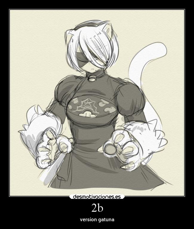 2b - version gatuna